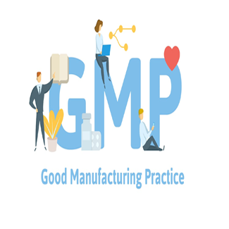GOOD MANUFACTURING PRACTICES (GMP)